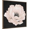 30"x30" Pink Flower on Black II by Elizabeth Medley Framed Canvas Wall Art Print Bronze - Amanti Art: Modern Botanical Lithograph - 2 of 4