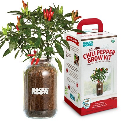 Photo 1 of Back to the Roots Organic Chili Pepper Grow Kit