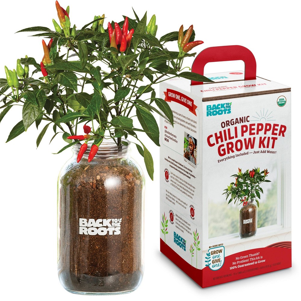 Photos - Garden & Outdoor Decoration Back to the Roots Organic Chili Pepper Grow Kit