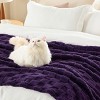 Bedsure | Cute Soft Cozy Checkered Throw Blanket for Couch - 4 of 4