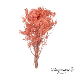 Uniquewise Preserved Real Floral Stems Chic Vase Fillers & Accents for Bouquets Centerpieces - 1 of 4