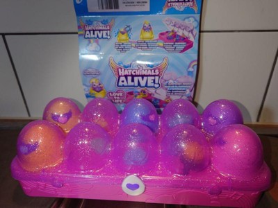 Hatchimals Alive 12-Egg Carton Playset, Ages 3+