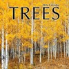 TF Publishing 13.5"x14.5" 2026 Trees Wall Calendar - 2 of 4