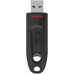 sandisk 256gb flash drive costco