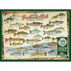 Cobble Hill: Freshwater Fish Of North America 1000 Piece Puzzle - 4 of 4
