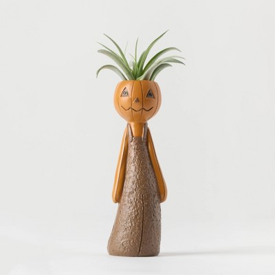 Halloween It's Giving Ghoul Pumpkin Live Houseplant - Good Little Garden™