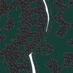 michigan state spartans