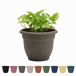 Bloem Ariana Round Resin Planter Pot Indoor and Outdoor Gardening - 1 of 4