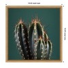 Amanti Art Cactus IV by Andre Eichman Canvas Wall Art Print Framed 16 x 16-in. - 4 of 4