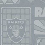 las vegas raiders