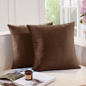 Deconovo Home Velvet Soft Decorative Pillow Covers Invisible Zipper Cushion Cover, 2-Pack - 1 of 4