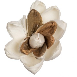 Vickerman 1-3" Natural Botanicals Assorted Natural Dried Sola Flower Head - 1 of 2