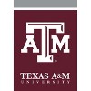 Briarwood Lane Texas A&M Aggies Garden Flag NCAA Licensed 12.5" x 18" - 3 of 3