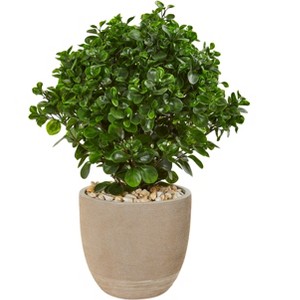 Nearly Natural 30-in Peperomia Artificial Plant in Sand Stone Planter UV Resistant (Indoor/Outdoor) - 1 of 2