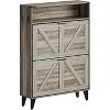 Freestanding Shoe Cabinet, 2 Flip Drawers Front Door Shoe Rack with Adjustable Shelf & Metal Legs, Shoe Rack for Front Door Entrance - 3 of 4