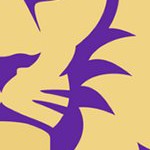 orlando city soccer club