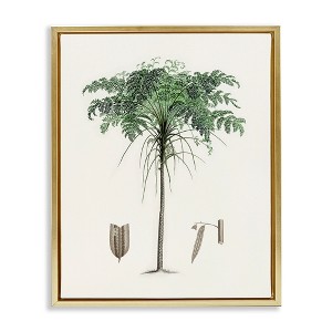 Stupell Industries Vintage Palm Tree Study Floating Frame Canvas Art - 1 of 4