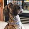 Up Country Aztec Blue Dog Collar - Large - 2 of 4