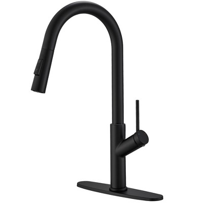 Single Handle Pull Down Sprayer Kitchen Faucet