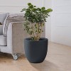 Rosemead Home & Garden Concrete Outdoor Planter Pot Black 13.39"x13.39"x12.6" - 4 of 4