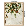 Amanti Art Kumquat Tree by Jodi Maas Canvas Wall Art Print Framed 16 x 20-in. - 4 of 4