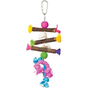 Prevue Pet Products Preen & Pacify Tropical Teasers Shells and Sticks Bird Toy 62505 - 1 of 3