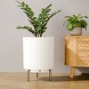 SEVOBAL 2 Piece Planters, Flower Pot with Stand, Mid-Century Modern Home Decor for Balcony Garden - 3 of 4