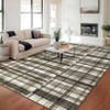 Indoor Modern Area Rugs Retro Striped Plaid Distressed Carpet For Living Room Bedroom Washable Soft Floor Mat Office Home Decor - 4 of 4