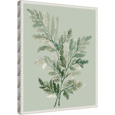 Green Ferns Botanical Canvas Print with Beaded White Frame
