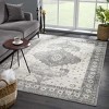 Hauteloom Marash 4605 Gray Area Carpet - 3 of 4
