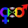 Adult Design By Humans Unified Pride Symbol Rainbow By T-Shirt - 2 of 2