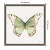 Amanti Art Colorful Breeze XII (Butterfly) by Lisa Audit Canvas Wall Art Print Framed 16-in. x 16-in. - 4 of 4