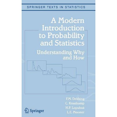 A Modern Introduction to Probability and Statistics - (Springer Texts in Statistics) by  F M Dekking & C Kraaikamp & H P Lopuhaä & L E Meester