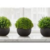 NicBex Set of 3 5" Tall Mini Artificial Plant  in Black Pot Lifelike Decorative Globes for living room, entryway or Office, Green - 3 of 4
