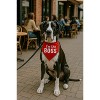 Parisian Pet 'I'm The Boss' Bandana for Dogs & Cats - Trendy, Comfortable, Funny Red Pet Bandana, Fashionable Dog & Cat Accessory - 4 of 4