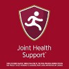 21st Century Glucosamine Chondroitin 3X, Liquid – Raspberry Flavor, 16 fl oz - 4 of 4