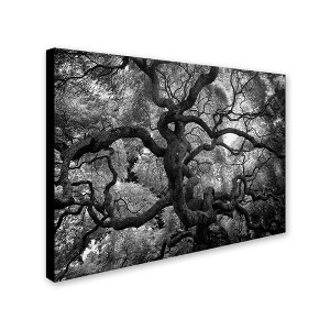 Trademark Fine Art -Motivations by CATeyes-22x32 Canvas Art Ready to Hang - 1 of 4