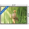 Trends International Fruits Basket - Kyo Soma Framed Wall Poster Prints - 3 of 4