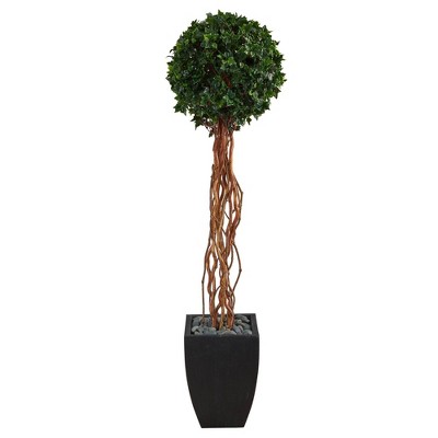 64" Indoor/Outdoor English Ivy Single Ball Artificial Topiary Tree in Planter Black/Green - Nearly Natural