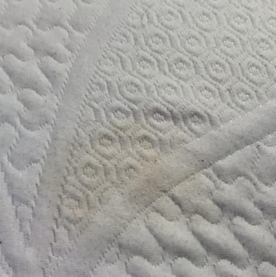 Guest review image 1 of 3, zoom in