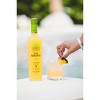 Rancho La Gloria Mango Margarita Wine Cocktail - 750ml Bottle - 2 of 4