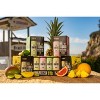 Mamitas Tequila Soda - 8pk/355mL Cans - 4 of 4