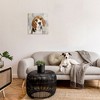 Stupell Industries Pet Beagle Patiently Waiting, 24" x 24" - 2 of 4