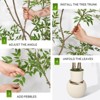 5ft/6ft/7ft Nandina Artificial Tree with White Planter for Home Decor Office Living Room - 3 of 4
