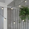 10ct Incandescent Outdoor String Lights G40 Frosted White Bulbs - Project 62™ - image 3 of 3