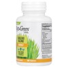 Kyolic Kyo-Green, Greens Blend, Energy, 180 Tablets - 3 of 3