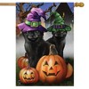 Briarwood Lane House Flag 40x28 For Outdoor Spooky Kittens Halloween For Halloween House Flag - 2 of 4