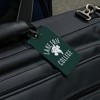 Lake Erie College Storm Logo Luggage ID Tags Suitcase CarryOn Cards  Set of 2 - 4 of 4