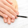 Unique Bargains Flat-mouthed Nail Painting Brushes for Polish Painting Home DIY Clear Gray 1 Pc - 2 of 4