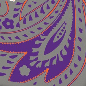 clemson tigers